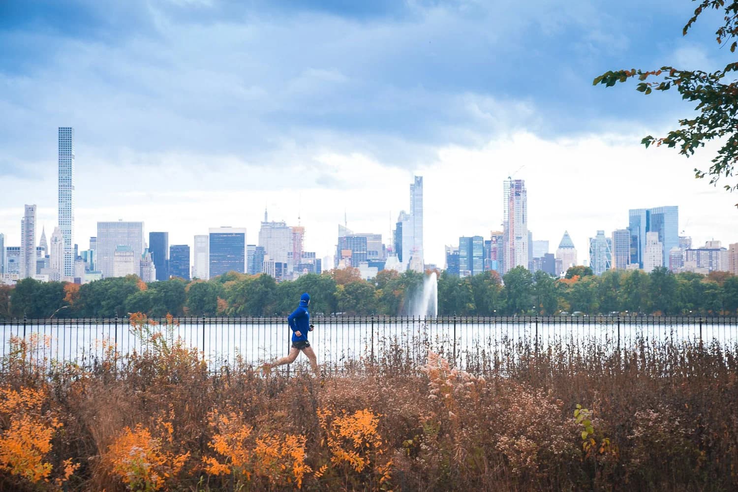 Runner in Central Park